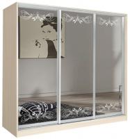 Фото shkaf-kupe-v-prikhozhuyu шкаф-купе оскар 4.2 (2,22х0,6х2,3 - 3 двери) производитель Мебель Маркет