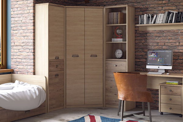 Фото Шкаф 2D1S/D1 Дизель (Diesel) от производителя Анрэкс в Крыму по цене 16 500 ₽