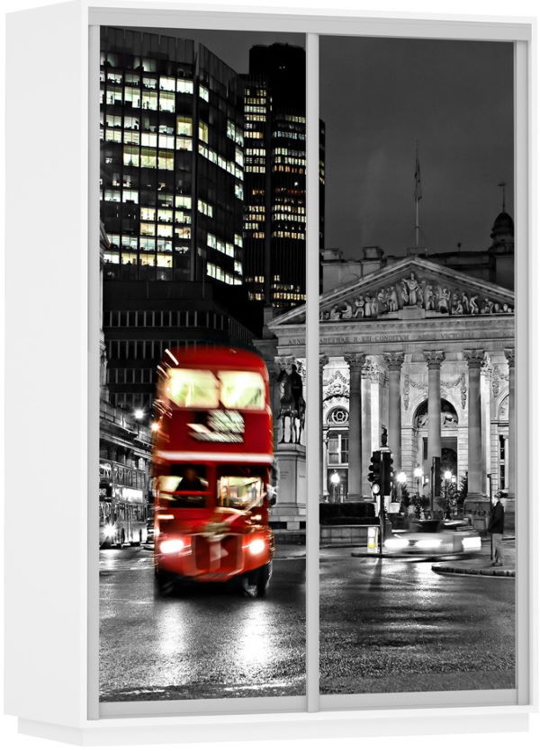 Фото Шкаф-купе Экспресс Дуо Фото (1,6х0,6х2,2 - 2 двери) от производителя Мебельная компания Е1 в Крыму по цене 39 840 ₽