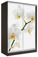 Фото shkaf-kupe-s-fotopechatyu шкаф-купе оскар 2 (1,5х0,6х2,3 - 2 двери) производитель Мебель Маркет